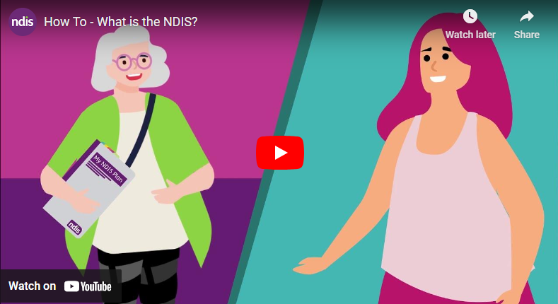 What is the NDIS?